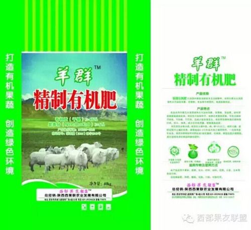 �л����Ϸ��͸���ԭ��