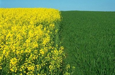 ����������γ���Դ���⡢��������