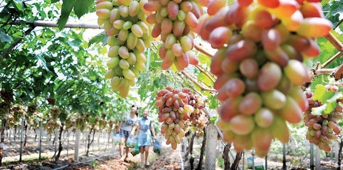 �������ѷ����� ��������Ҫ����