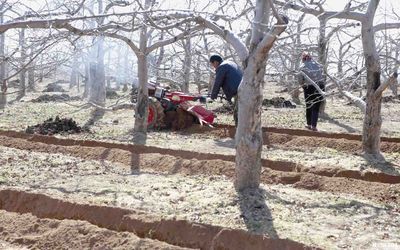 ƻ������������