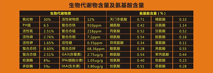 �����ǽ�����