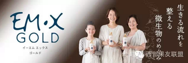 EM����������ϵ�С���EM.home�������¾���������������