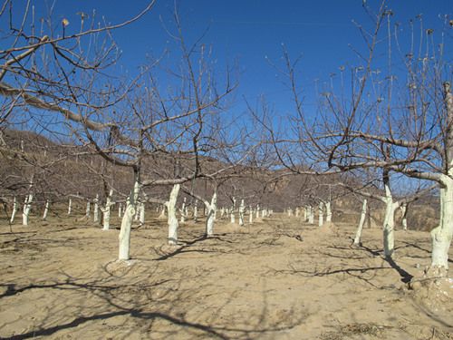 ������ȫԽ����������