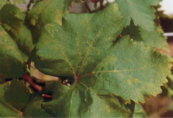 ���������溦�ھ����������ѻ�����