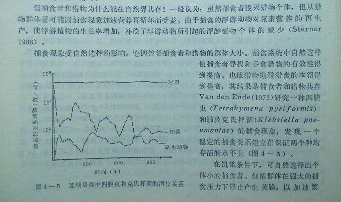 �������ͻ���΢����ѧ��----��ʳ����