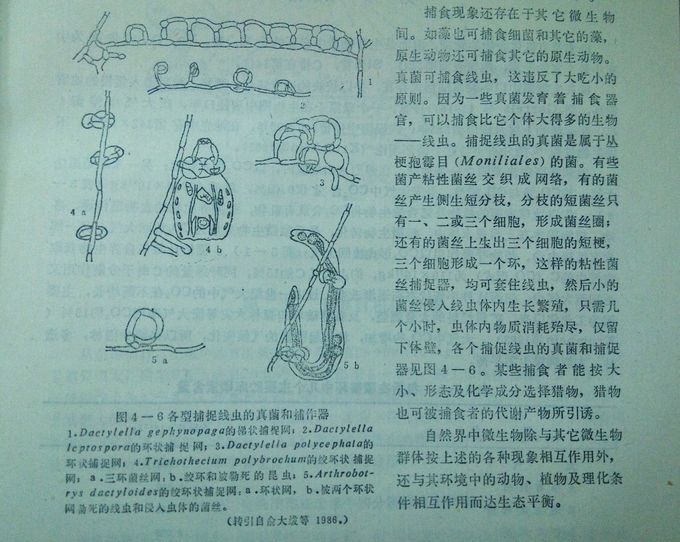 �������ͻ���΢����ѧ��----��ʳ����