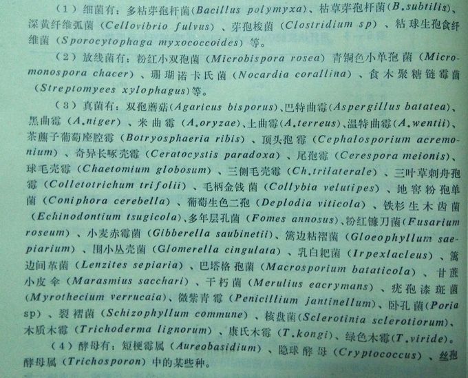 �������ͻ���΢����ѧ�������ֽ����ά�ص�΢����