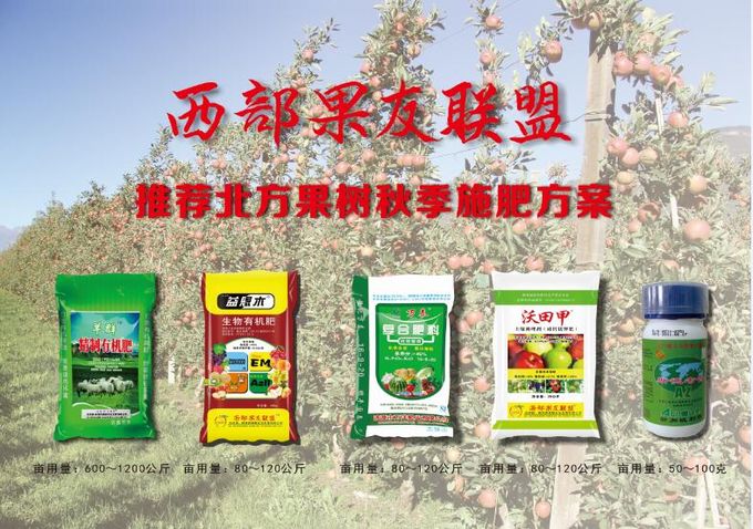 �������ͻ���΢����ѧ�������ֽ����ά�ص�΢����