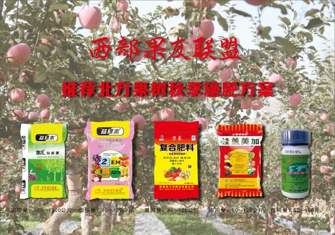 �������ͻ���΢����ѧ�������ֽ�ľ����΢�������������